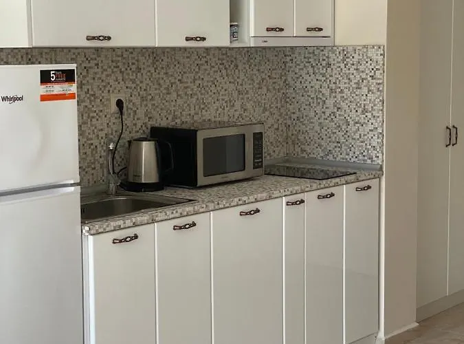 Studio * 스베티 블라스